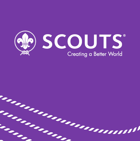 Open Call and Information Pack for the future WOSM Secretary General