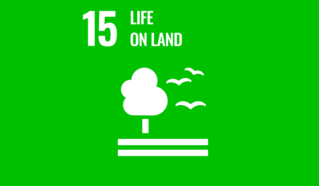 Sustainable Development Goal 15 ‘Life on Land’