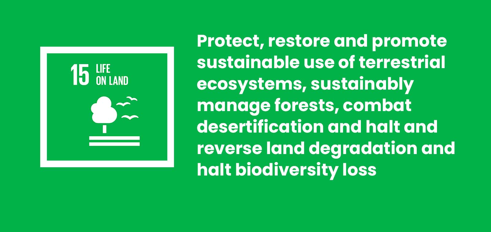 sdg 15 life on land essay